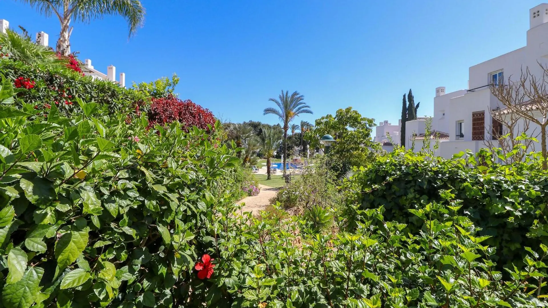 Los Monteros Palm Beach - Ground Floor Apartment Marbella Španělsko